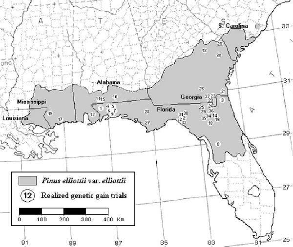 Slash Pine Range Map