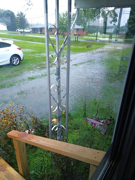 19 Aug. Flood, View from the ramp  .jpg