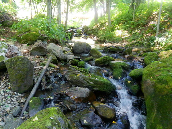 20240909_095858.JPG