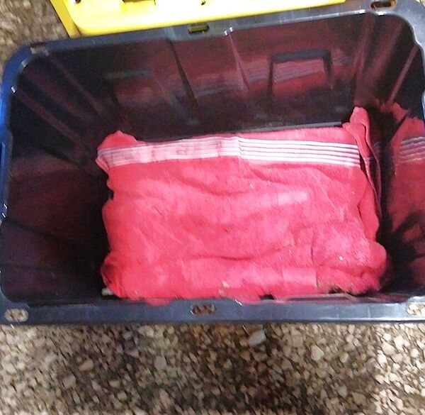 25 Aug, Treasure Chest, a red towel  .jpg