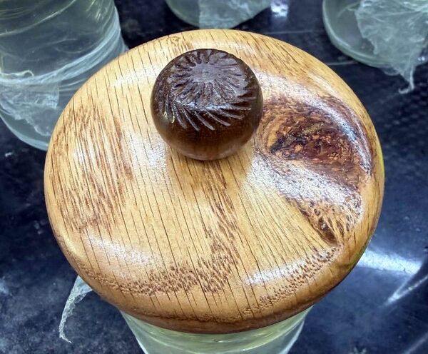 Aug 2026 tea lids4.jpg