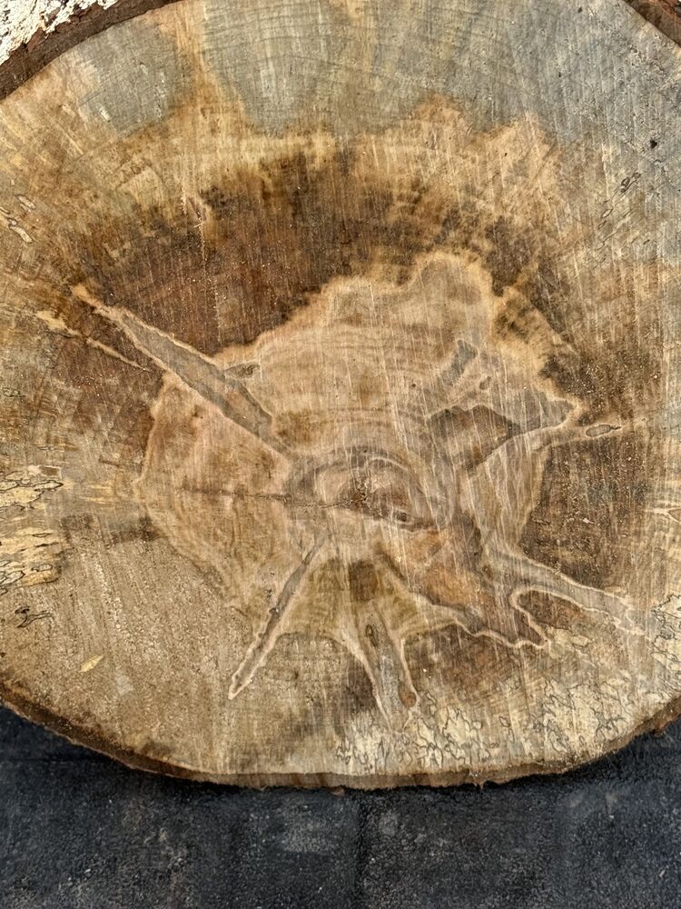 Maple