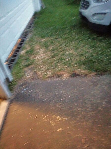 Sept., Proj start, mulch  .jpg