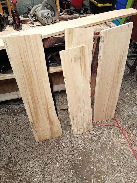 Sept., Proj. start,  planer victims  .jpg