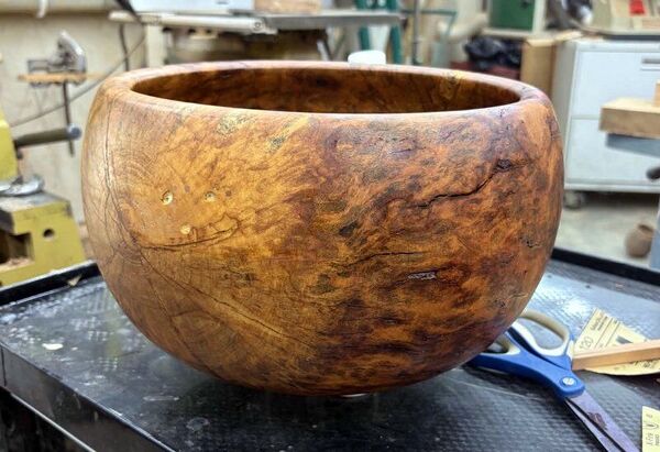 maple burl1.jpg